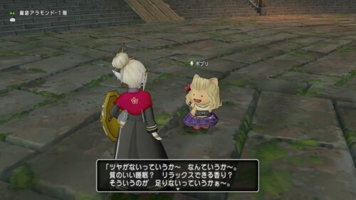 サブクエ『彼女こそ究極の愛の伝道者』をしたり日課をしたり ※ネタバレあり ドラクエ10 萎えと飽きの狭間で