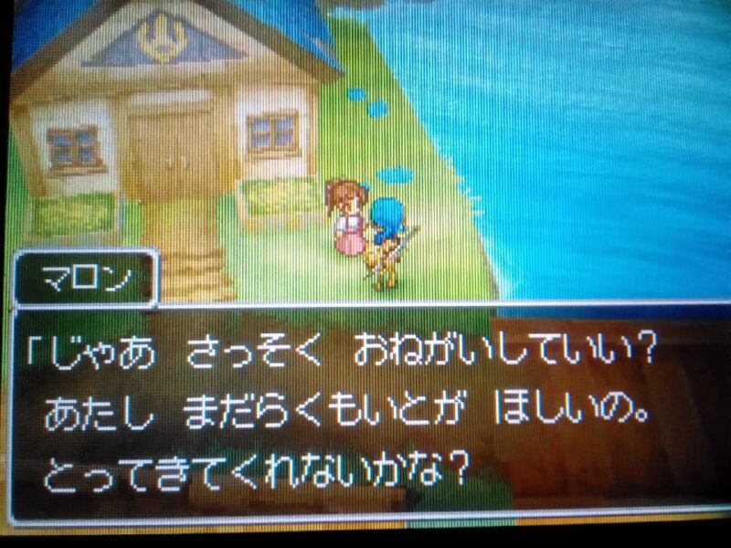 リッカの宿屋オープン！ ルイーダの酒場はどうなる？ ドラクエ9 #4