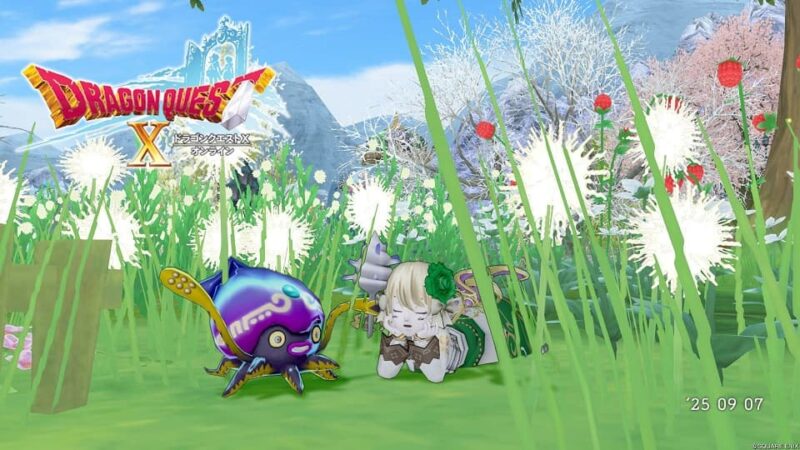 ゼルメアや防衛軍で装備集め！ ドラクエ10