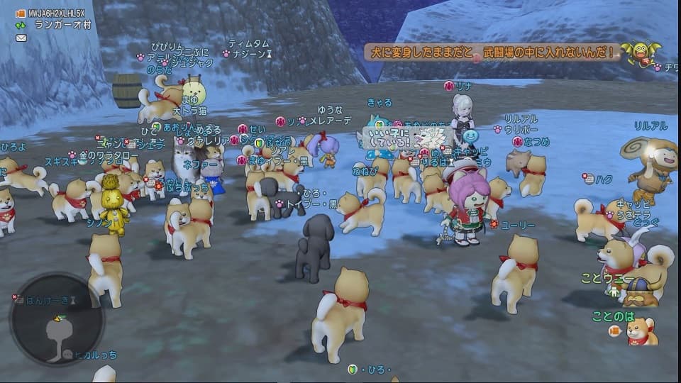 毎月10日はDQXで遊ぼう! ~へんげの杖でドッグラン!~ ドラクエ10