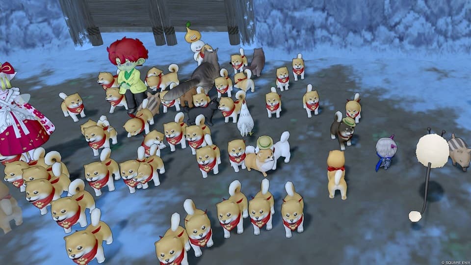 毎月10日はDQXで遊ぼう! ~へんげの杖でドッグラン!~ ドラクエ10