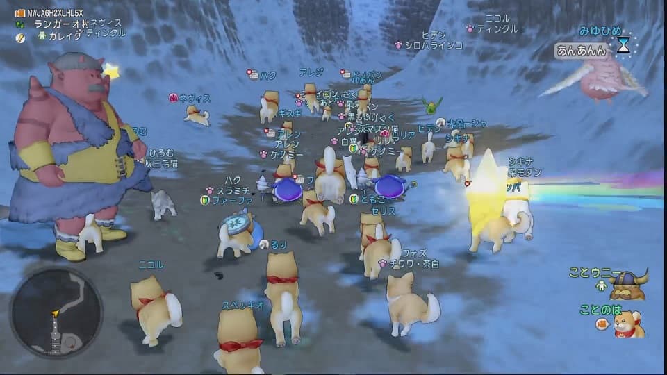 毎月10日はDQXで遊ぼう! ~へんげの杖でドッグラン!~ ドラクエ10