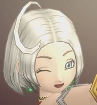 美の競演！ 第14回アストルティア♥クイーン総選挙！　開幕！　ドラクエ10