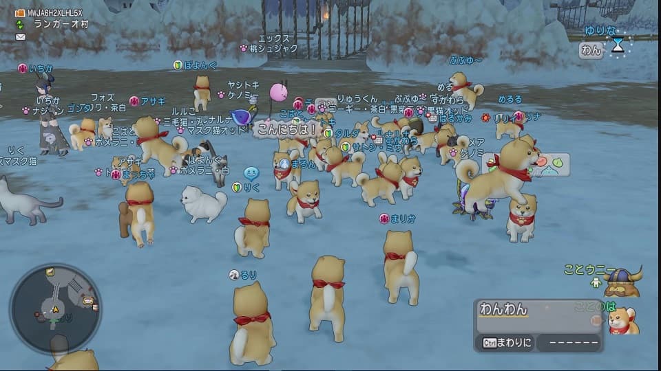 毎月10日はDQXで遊ぼう! ~へんげの杖でドッグラン!~ ドラクエ10